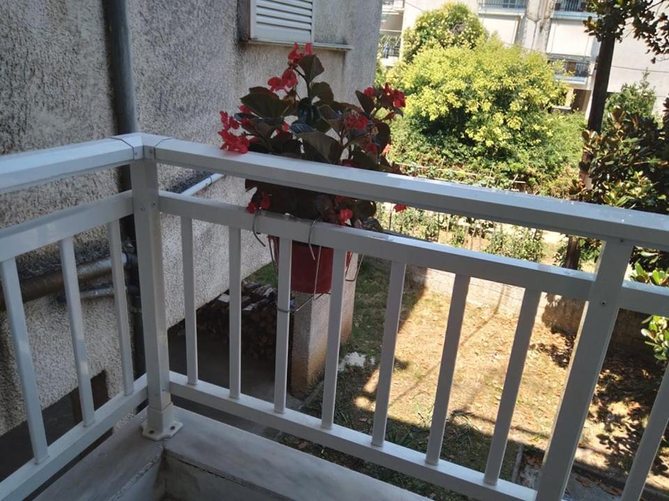 Little Beauty - Happyhostgr - In Platamonas Apartment Exterior photo